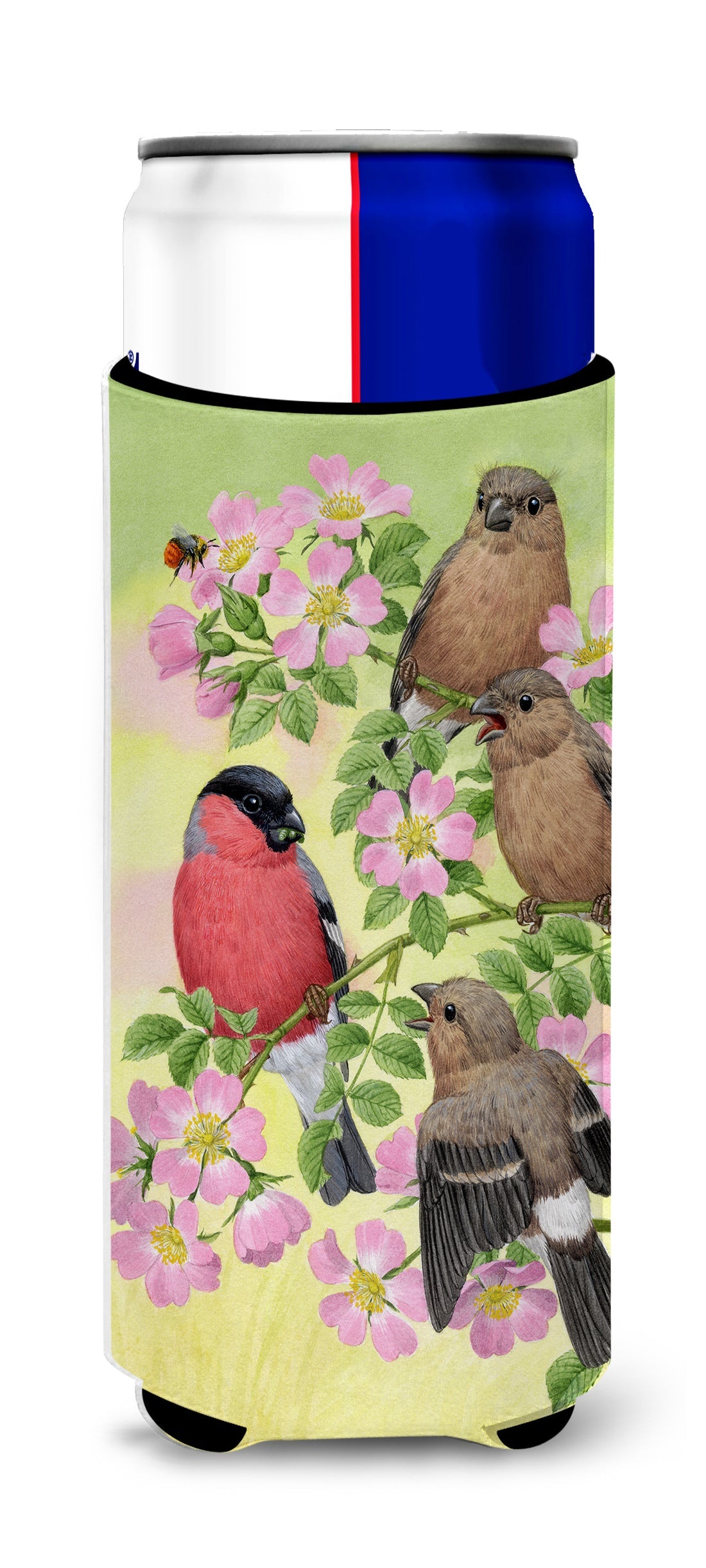 Eurasian Bullfinches Slim Can Hugger , Insulated Foam Hugger for 12 oz Slim Cans, Beer Bottles & Water Bottles, Printed in USA
