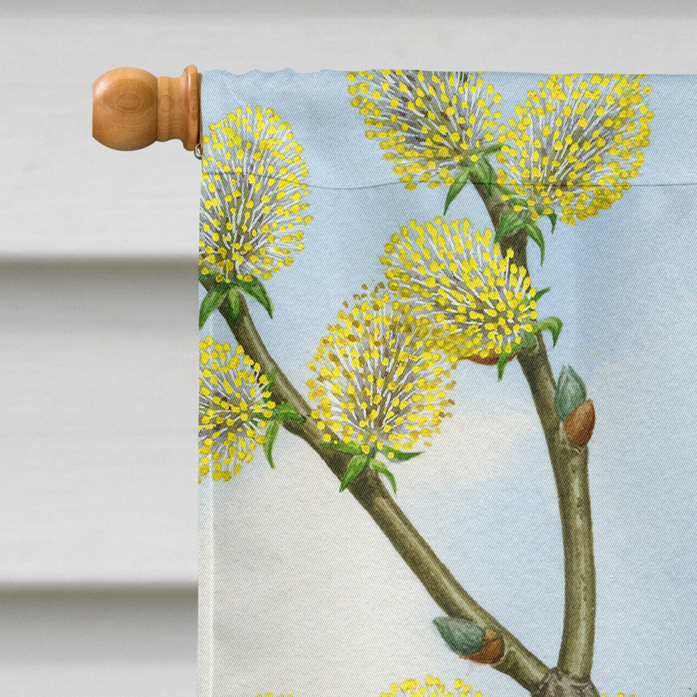 Eurasian Blue Tit on a branch House Flag 28x40 Porch Sleeve Pole Decorative Outside Yard Banner Artwork Wall Hanging, Polyester