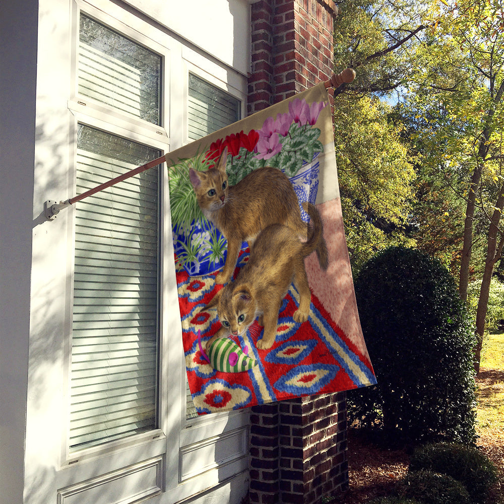 Abyssinian Kitten House Flag 28x40 Porch Sleeve Pole Decorative Outside Yard Banner Artwork Wall Hanging, Polyester