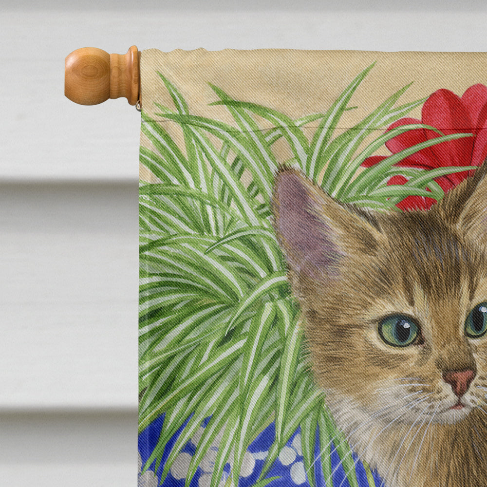 Abyssinian Kitten House Flag 28x40 Porch Sleeve Pole Decorative Outside Yard Banner Artwork Wall Hanging, Polyester