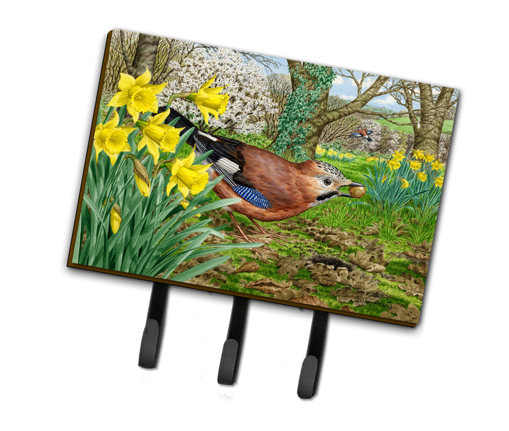 Jay Leash or Key Holder Wall Hooks, Coat Rack Wall Mount, for Hanging Keys, Towels, Aprons, Leashes