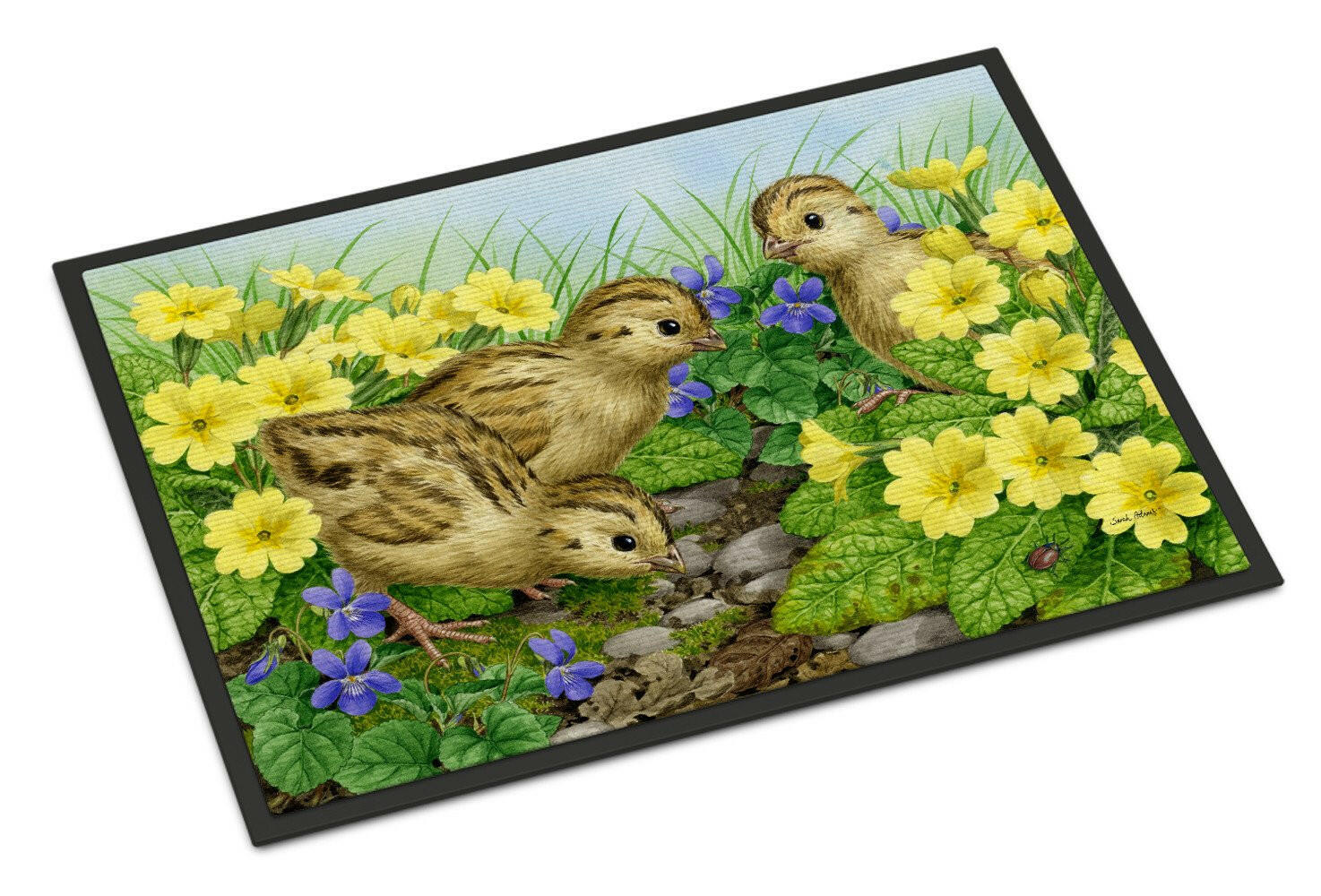 Pheasant Chicks Doormat Indoor Outdoor 24H X 36W Front Door Mat Rugs for Entryway, Non Slip Washable Low Pile,