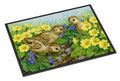 Pheasant Chicks Doormat Indoor Outdoor 18H X 27W Front Door Mat Rugs for Entryway, Non Slip Washable