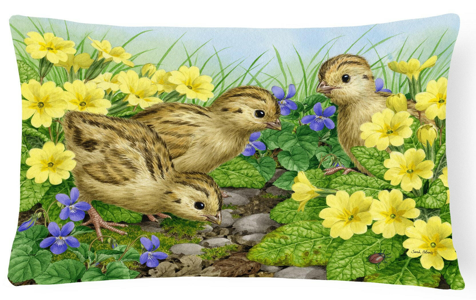 Pheasant Chicks Decorative Throw Pillow 12x16 Indoor Outdoor Accent Cushion, Fabric Cover with Insert for Sofa, Bed, Porch & Living Room