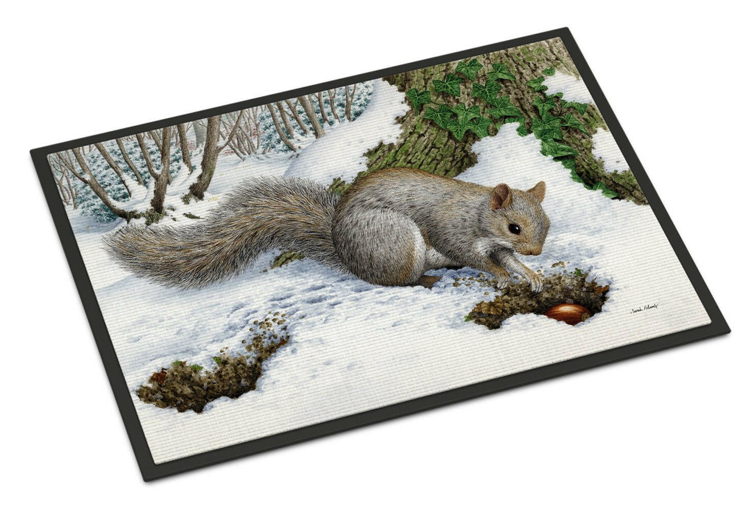 Grey Squirrel Doormat Indoor Outdoor 18H X 27W Front Door Mat Rugs for Entryway, Non Slip Washable