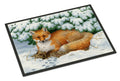 Winter Fox Doormat Indoor Outdoor 18H X 27W Front Door Mat Rugs for Entryway, Non Slip Washable