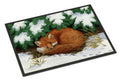 Naptime Fox Doormat Indoor Outdoor 18H X 27W Front Door Mat Rugs for Entryway, Non Slip Washable