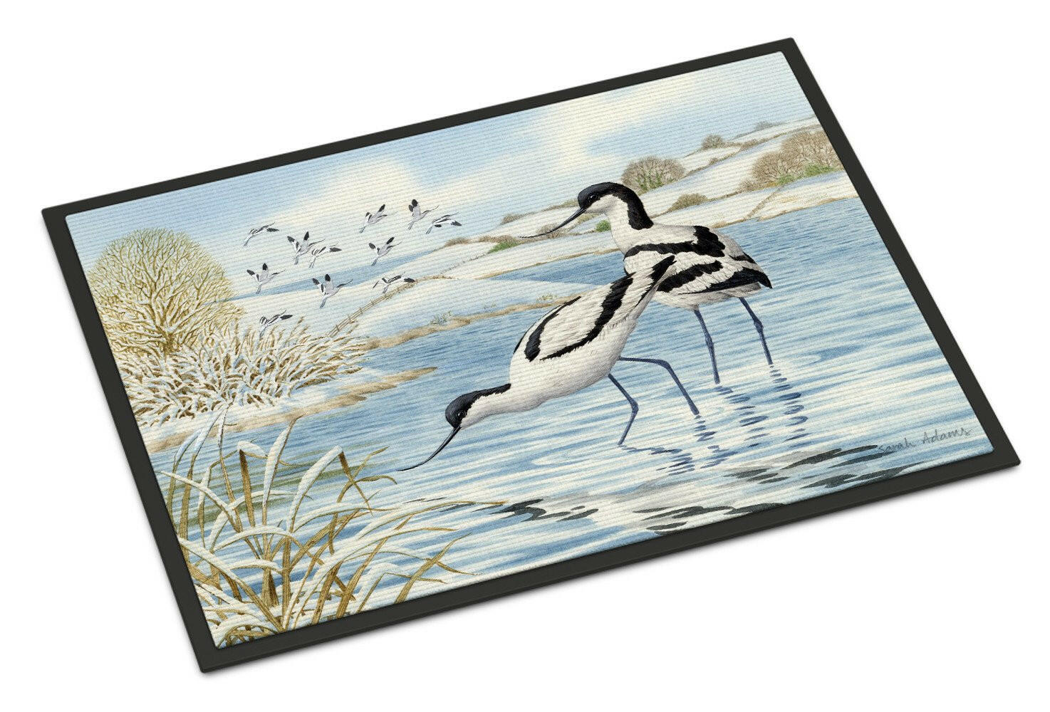 Avocet Doormat Indoor Outdoor 18H X 27W Front Door Mat Rugs for Entryway, Non Slip Washable