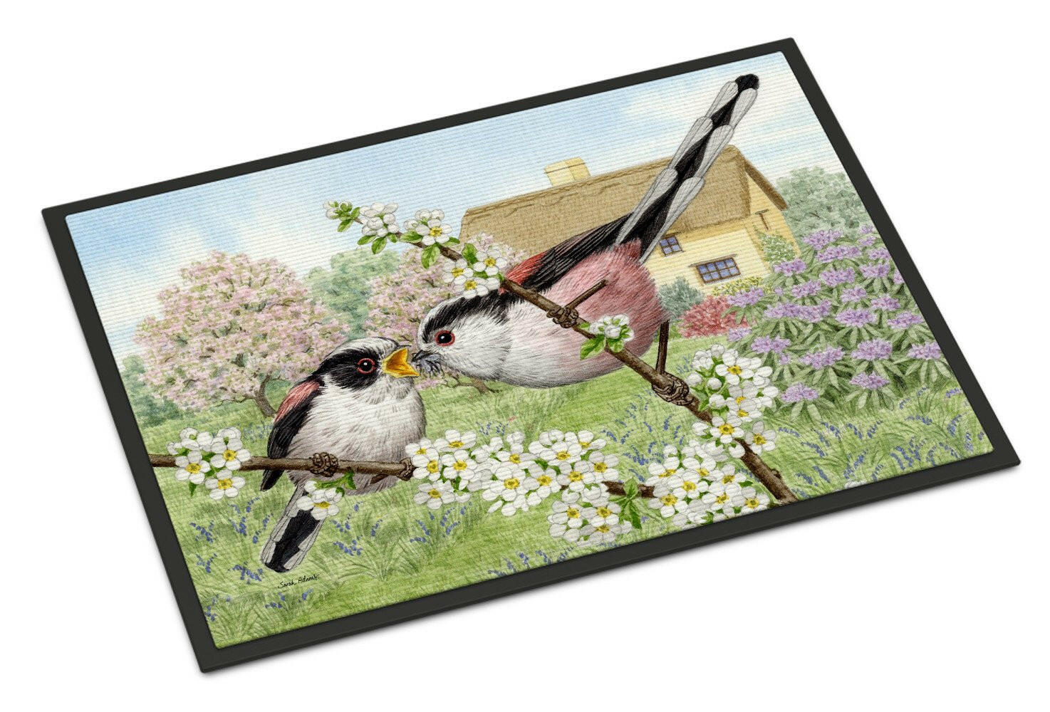 Long Tailed Tits Doormat Indoor Outdoor 18H X 27W Front Door Mat Rugs for Entryway, Non Slip Washable