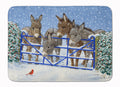 Donkeys and Cardinal Memory Foam Kitchen Mat Machine Washable Anti-Fatigue Cushion Comfort Bath or Kitchen Rug