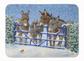 Donkeys and Robin at the Fence Memory Foam Kitchen Mat Machine Washable Anti-Fatigue Cushion Comfort Bath or Kitchen Rug