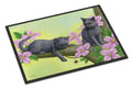 Chartruex Kittens Doormat Indoor Outdoor 18H X 27W Front Door Mat Rugs for Entryway, Non Slip Washable