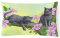 Chartruex Kittens Decorative Throw Pillow 12x16 Indoor Outdoor Accent Cushion, Fabric Cover with Insert for Sofa, Bed, Porch & Living Room