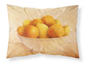 Oranges & Lemons in a Bowl Standard Pillowcase Lightweight Super Soft Easy Care Decorative Artwork Pillowcase, Standard