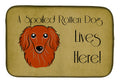 Longhair Red Dachshund Spoiled Dog Lives Here Dish Drying Mat Absorbent Dish Drying Mat Pad for Kitchen Counter Dish Drainer Mat for Countertop, 14 x 21", Multicolor
