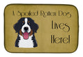 Bernese Mountain Dog Spoiled Dog Lives Here Dish Drying Mat Absorbent Dish Drying Mat Pad for Kitchen Counter Dish Drainer Mat for Countertop, 14 x 21", Multicolor