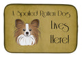 Papillon Spoiled Dog Lives Here Dish Drying Mat Absorbent Dish Drying Mat Pad for Kitchen Counter Dish Drainer Mat for Countertop, 14 x 21", Multicolor