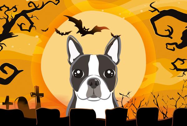 Halloween Boston Terrier Fabric Placemat Washable Placemat Dinner Table Decor No Ironing Linen Look