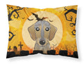 Halloween Wirehaired Dachshund Standard Pillowcase Lightweight Super Soft Easy Care Decorative Artwork Pillowcase, Standard