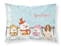 Merry Christmas Carolers Basset Hound Standard Pillowcase Lightweight Super Soft Easy Care Decorative Artwork Pillowcase, Standard