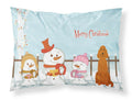 Merry Christmas Carolers Irish Setter Standard Pillowcase Lightweight Super Soft Easy Care Decorative Artwork Pillowcase, Standard