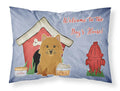 Dog House Collection Norwich Terrier Standard Pillowcase Lightweight Super Soft Easy Care Decorative Artwork Pillowcase, Standard