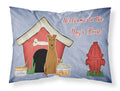 Dog House Collection Irish Terrier Standard Pillowcase Lightweight Super Soft Easy Care Decorative Artwork Pillowcase, Standard