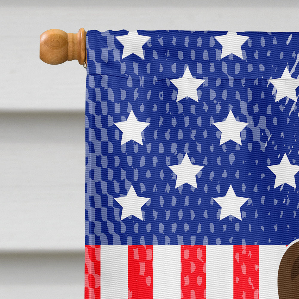 Patriotic USA Chow Chow Chocolate House Flag 28x40 Porch Sleeve Pole Decorative Outside Yard Banner Artwork Wall Hanging, Polyester