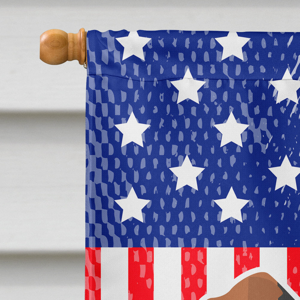 USA Patriotic Welsh Terrier House Flag 28x40 Porch Sleeve Pole Decorative Outside Yard Banner Artwork Wall Hanging, Polyester