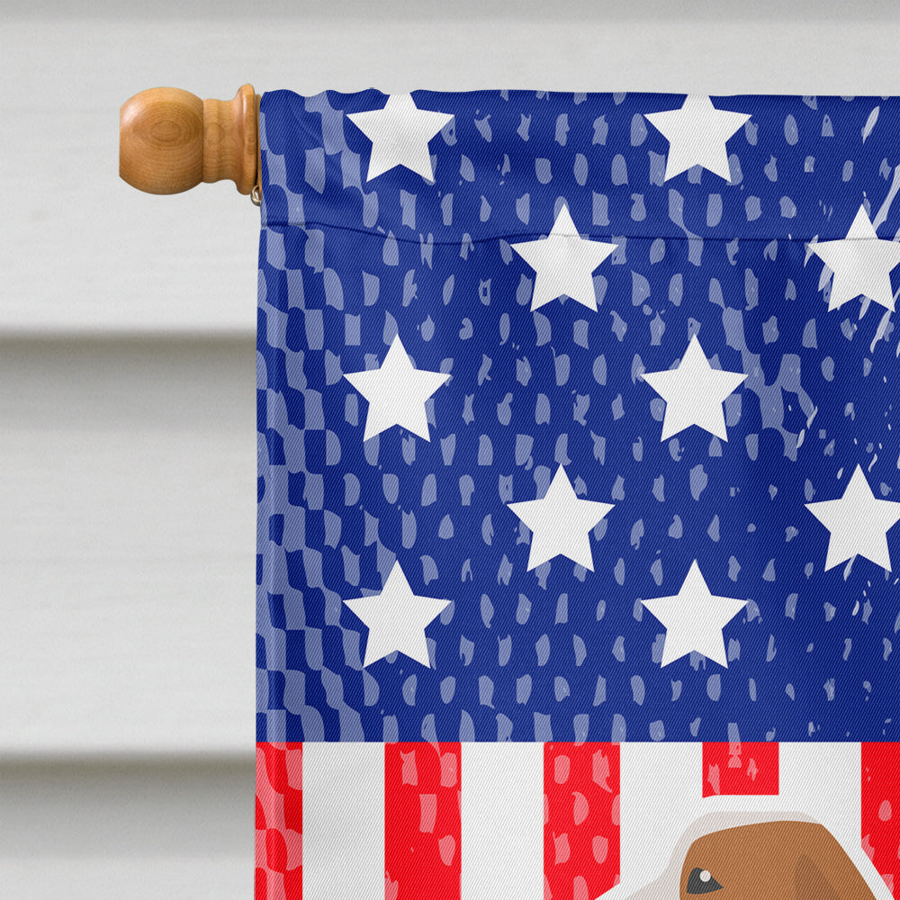 USA Patriotic Spanish Hound House Flag 28x40 Porch Sleeve Pole Decorative Outside Yard Banner Artwork Wall Hanging, Polyester