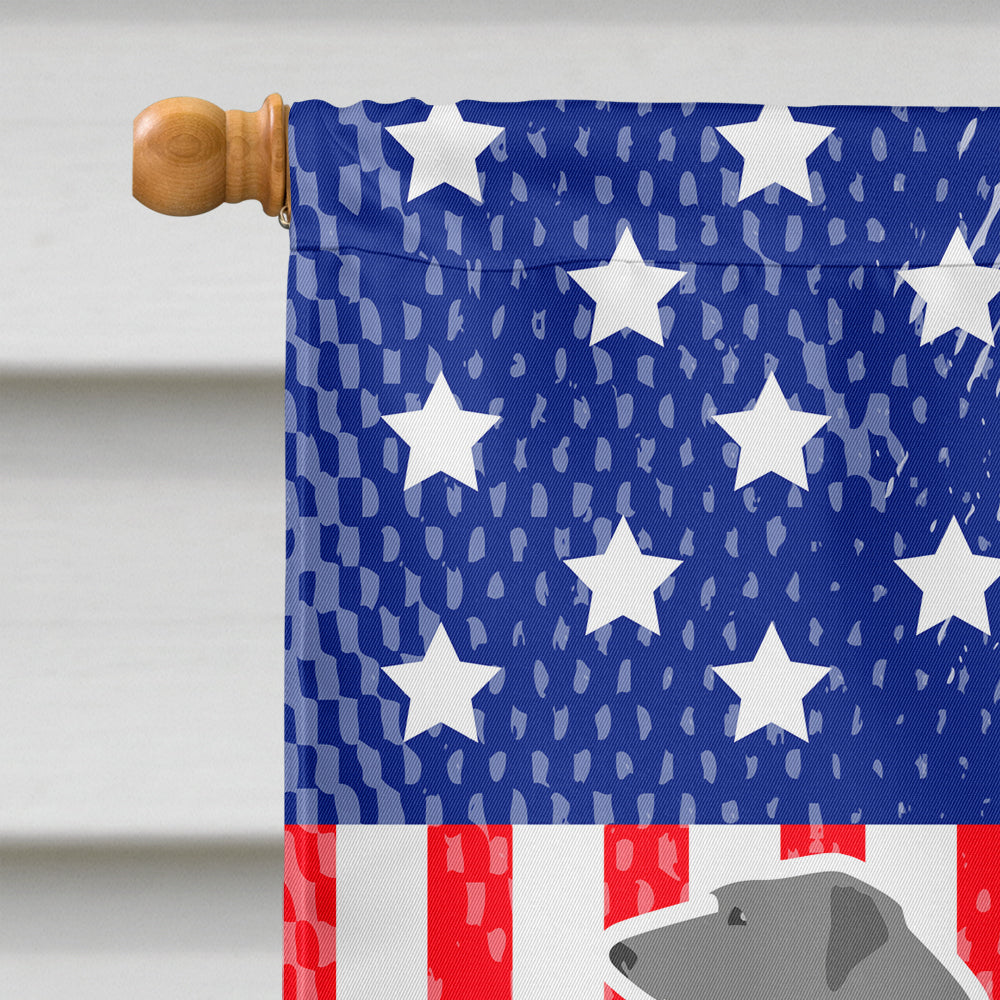USA Patriotic Scottish Deerhound House Flag 28x40 Porch Sleeve Pole Decorative Outside Yard Banner Artwork Wall Hanging, Polyester