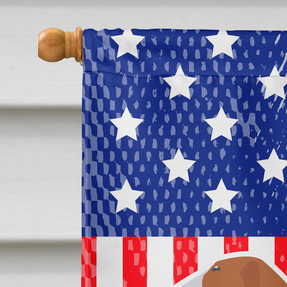 USA Patriotic Borzoi Russian Greyhound House Flag 28x40 Porch Sleeve Pole Decorative Outside Yard Banner Artwork Wall Hanging, Polyester