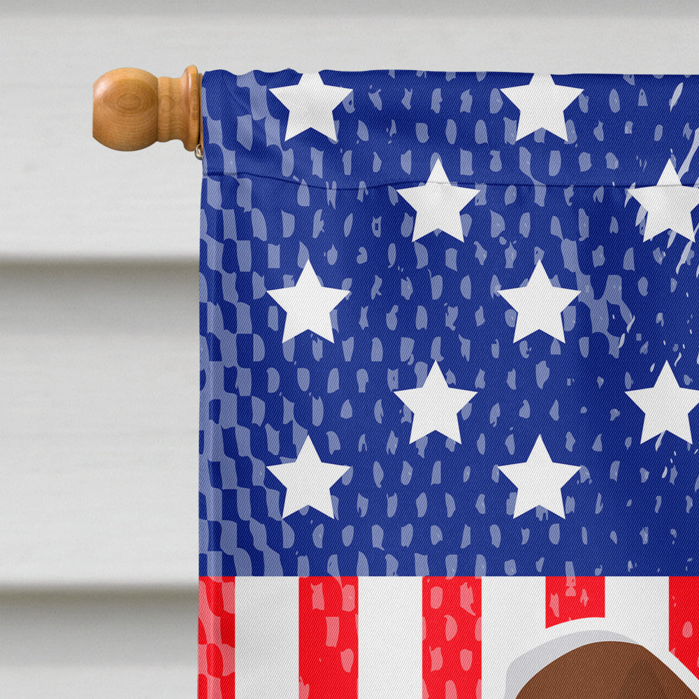 USA Patriotic Welsh Springer Spaniel House Flag 28x40 Porch Sleeve Pole Decorative Outside Yard Banner Artwork Wall Hanging, Polyester