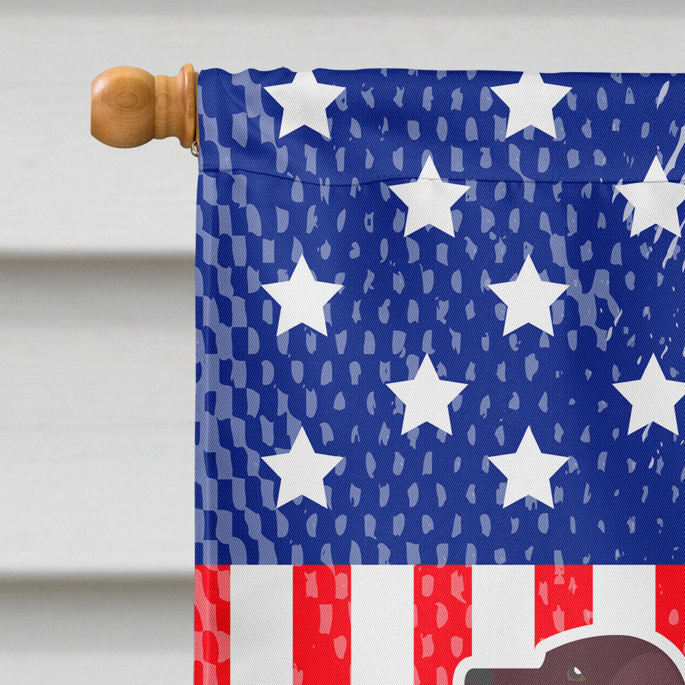 USA Patriotic American Water Spaniel House Flag 28x40 Porch Sleeve Pole Decorative Outside Yard Banner Artwork Wall Hanging, Polyester