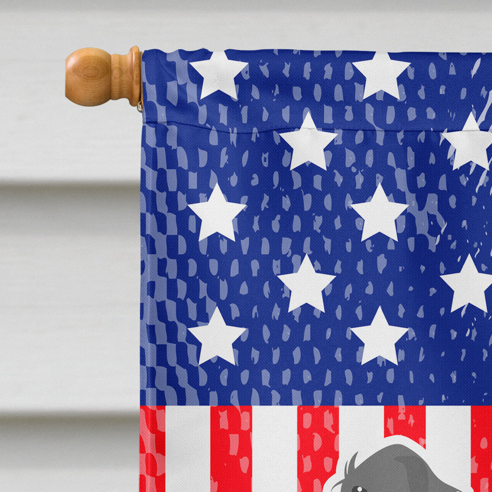 USA Patriotic Irish Wolfhound House Flag 28x40 Porch Sleeve Pole Decorative Outside Yard Banner Artwork Wall Hanging, Polyester
