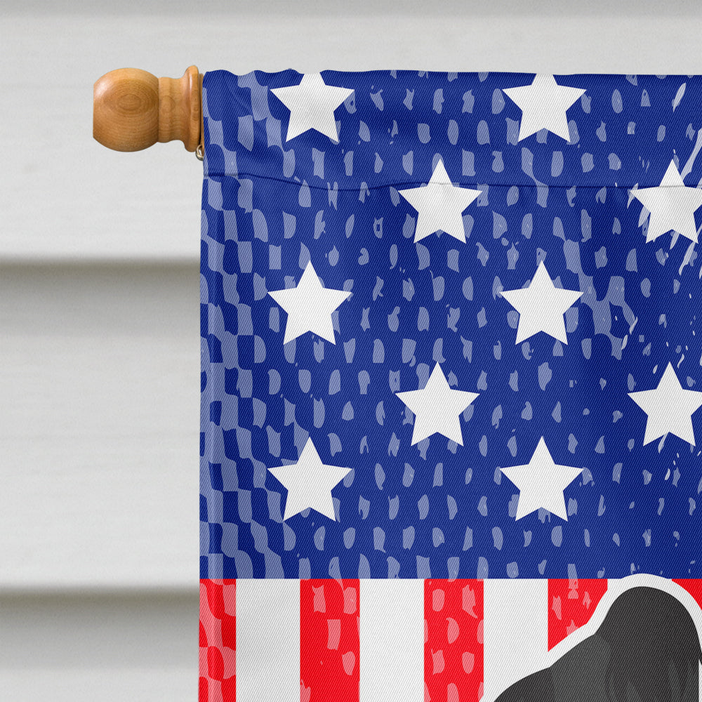 USA Patriotic Briard House Flag 28x40 Porch Sleeve Pole Decorative Outside Yard Banner Artwork Wall Hanging, Polyester