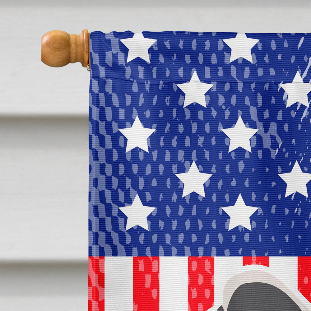 USA Patriotic Japanese Chin House Flag 28x40 Porch Sleeve Pole Decorative Outside Yard Banner Artwork Wall Hanging, Polyester