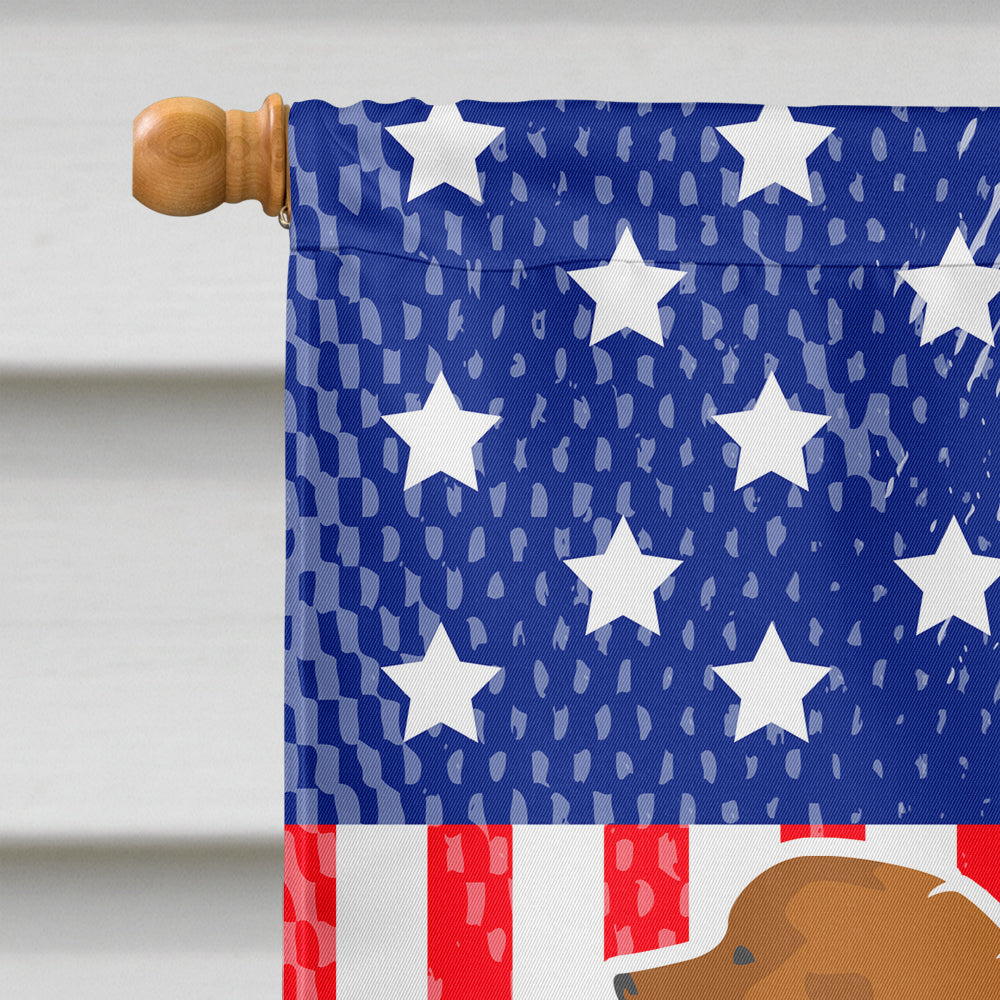 USA Patriotic Leonberger House Flag 28x40 Porch Sleeve Pole Decorative Outside Yard Banner Artwork Wall Hanging, Polyester