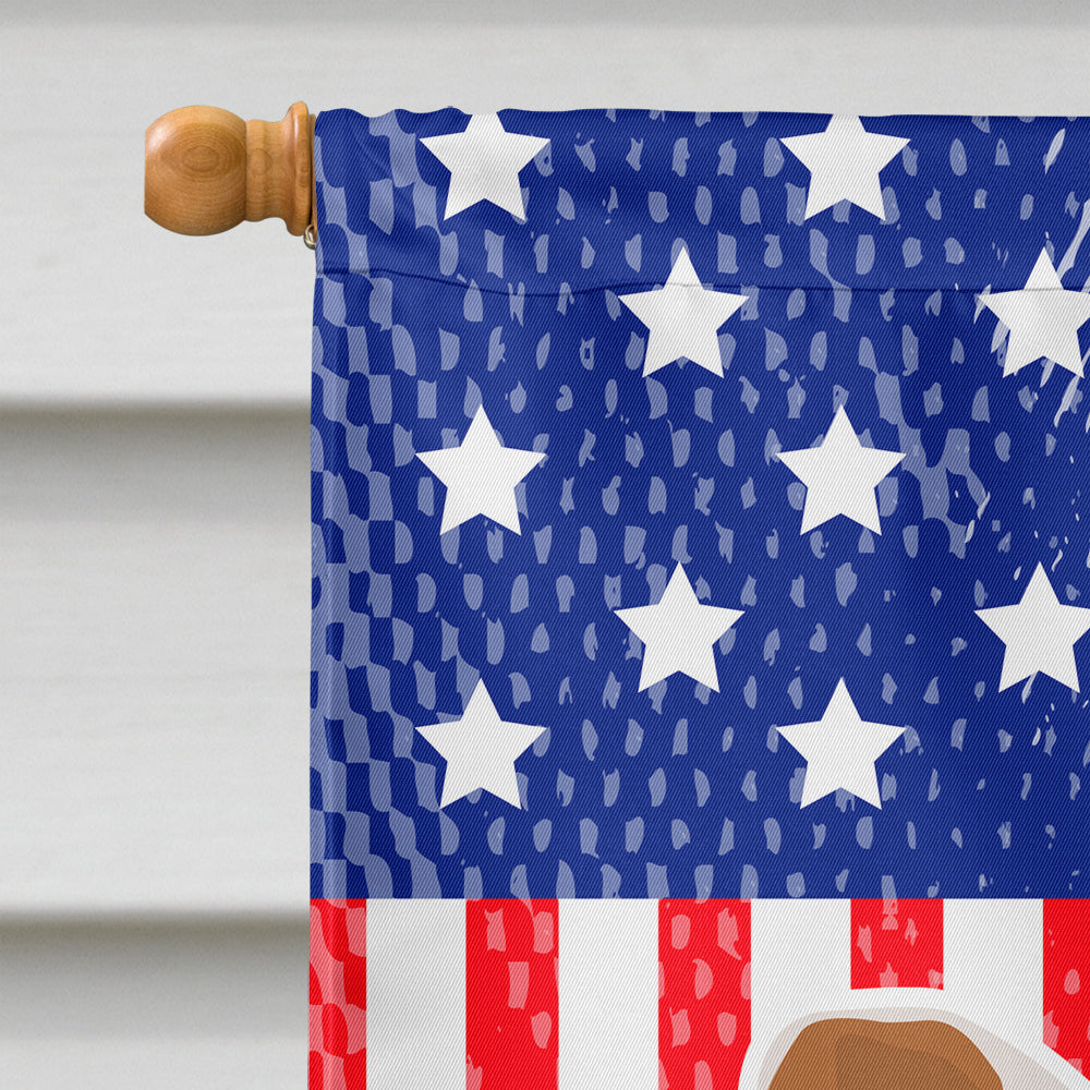 USA Patriotic Saint Bernard House Flag 28x40 Porch Sleeve Pole Decorative Outside Yard Banner Artwork Wall Hanging, Polyester
