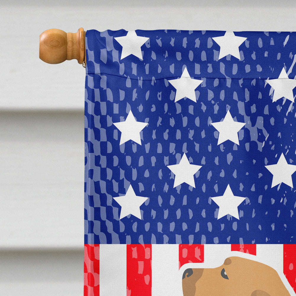 USA Patriotic Fila Brasileiro House Flag 28x40 Porch Sleeve Pole Decorative Outside Yard Banner Artwork Wall Hanging, Polyester