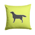 Black Labrador Retriever Checkerboard Green Decorative Throw Pillow 14x14 Indoor Outdoor Accent Cushion, Fabric Cover with Insert for Sofa, Bed, Porch & Living Room
