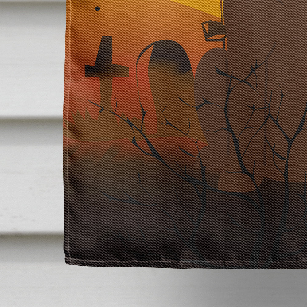 Halloween Chocolate Labrador House Flag 28x40 Porch Sleeve Pole Decorative Outside Yard Banner Artwork Wall Hanging, Polyester