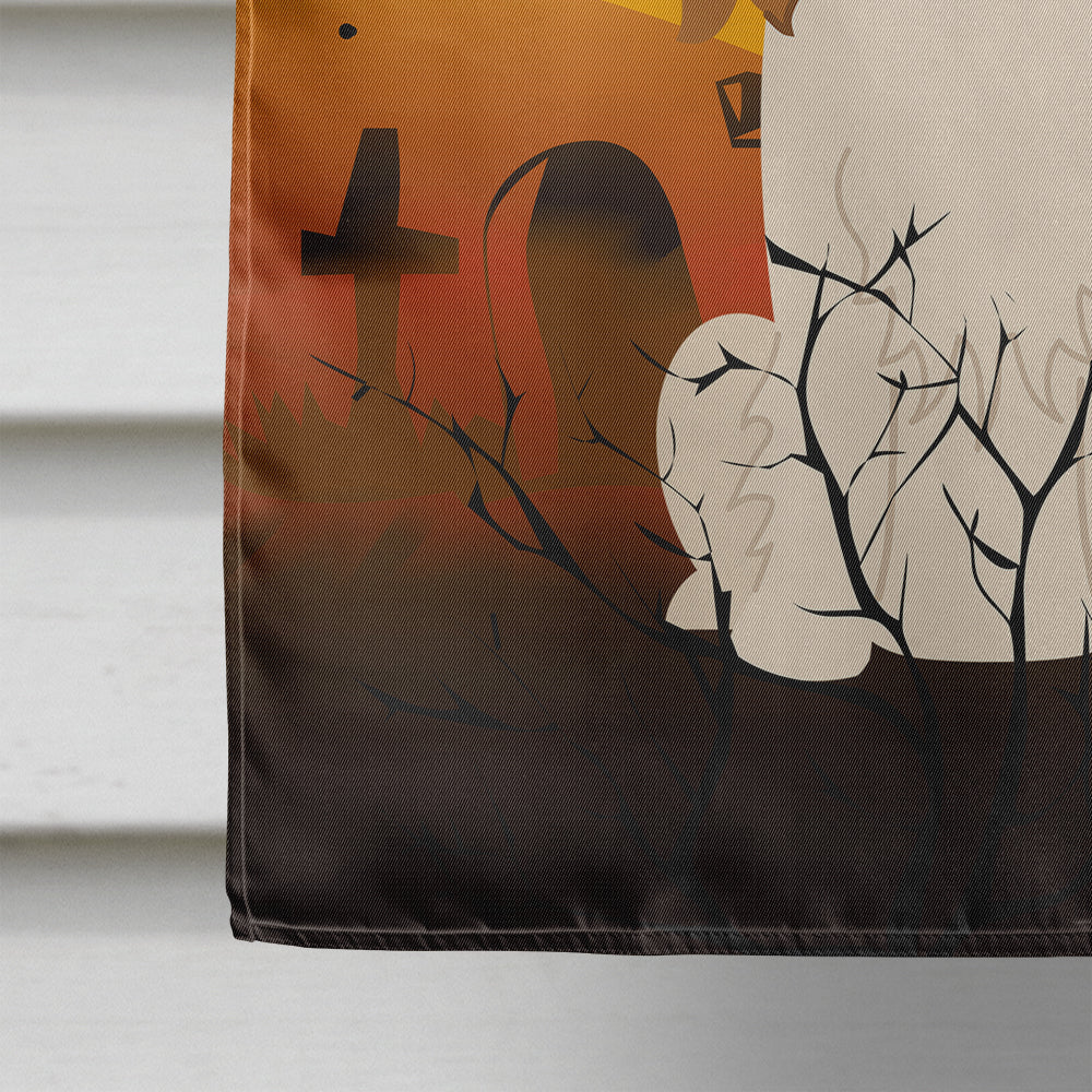 Halloween Cavalier Spaniel House Flag 28x40 Porch Sleeve Pole Decorative Outside Yard Banner Artwork Wall Hanging, Polyester