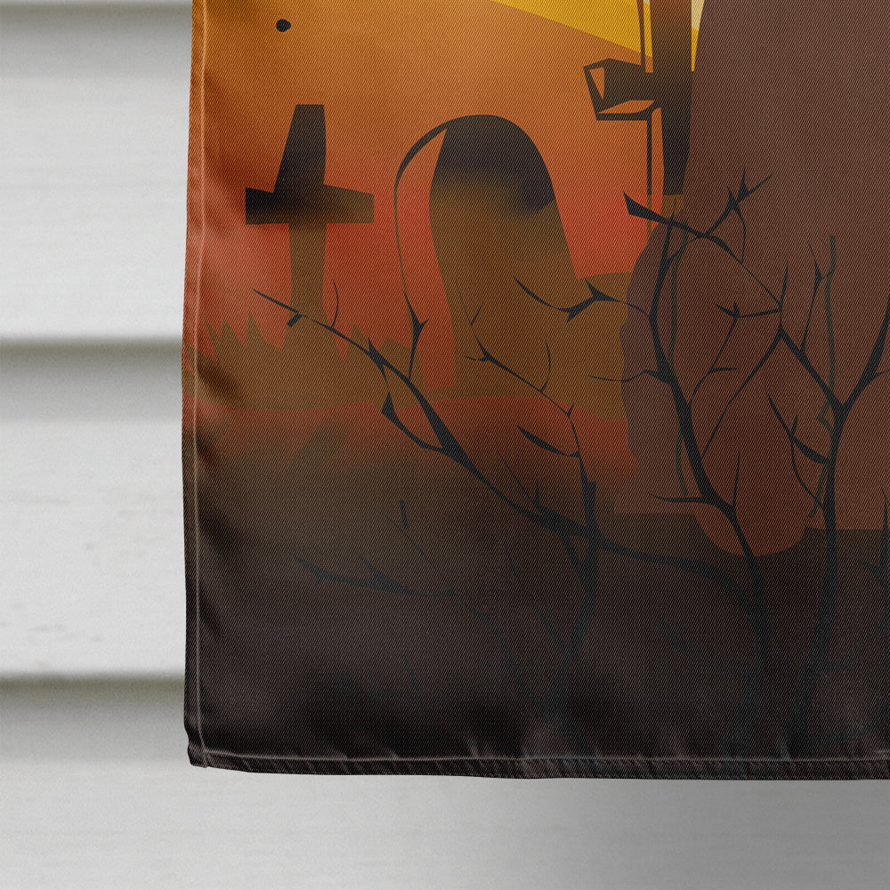 Halloween Irish Water Spaniel House Flag 28x40 Porch Sleeve Pole Decorative Outside Yard Banner Artwork Wall Hanging, Polyester