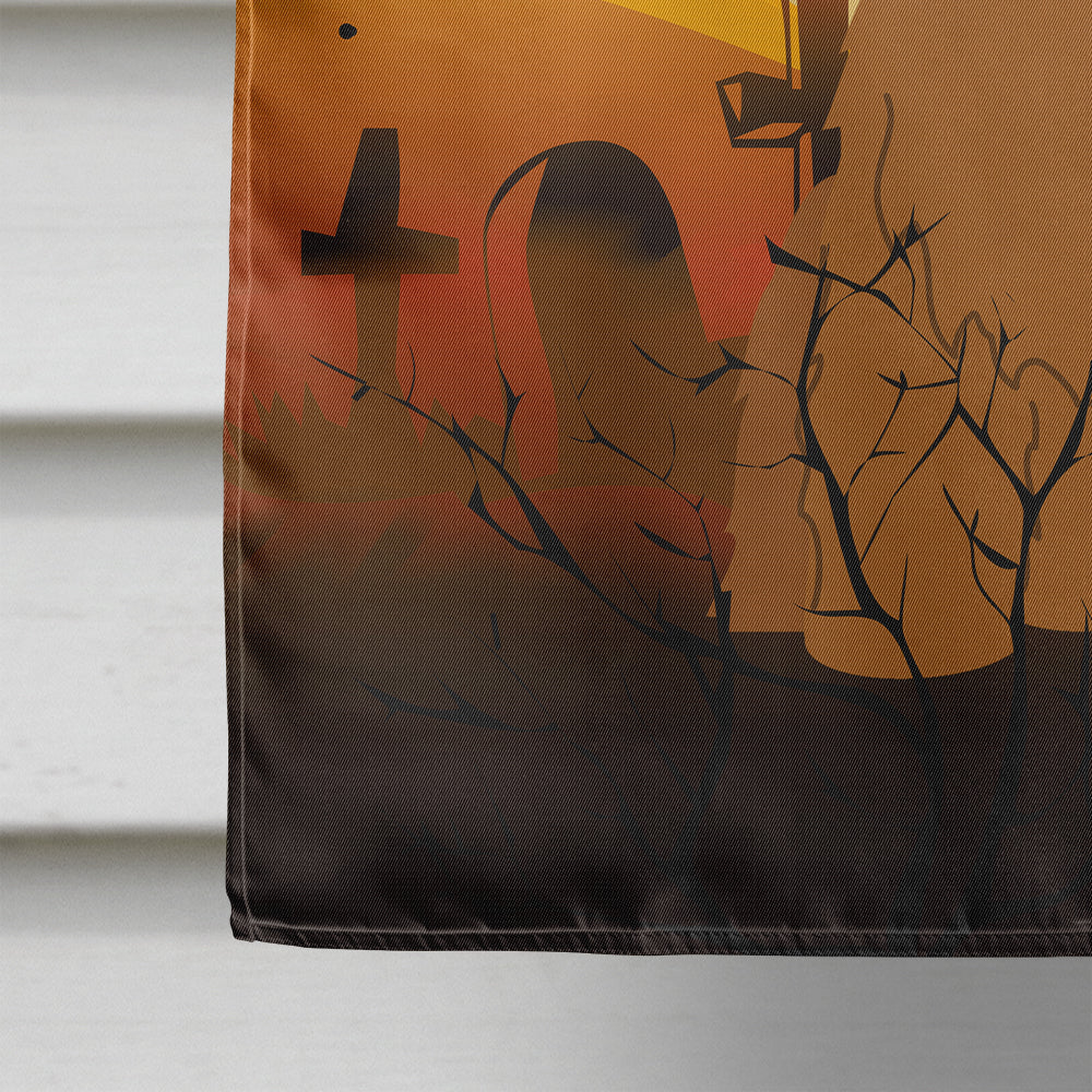 Halloween Briard Brown House Flag 28x40 Porch Sleeve Pole Decorative Outside Yard Banner Artwork Wall Hanging, Polyester