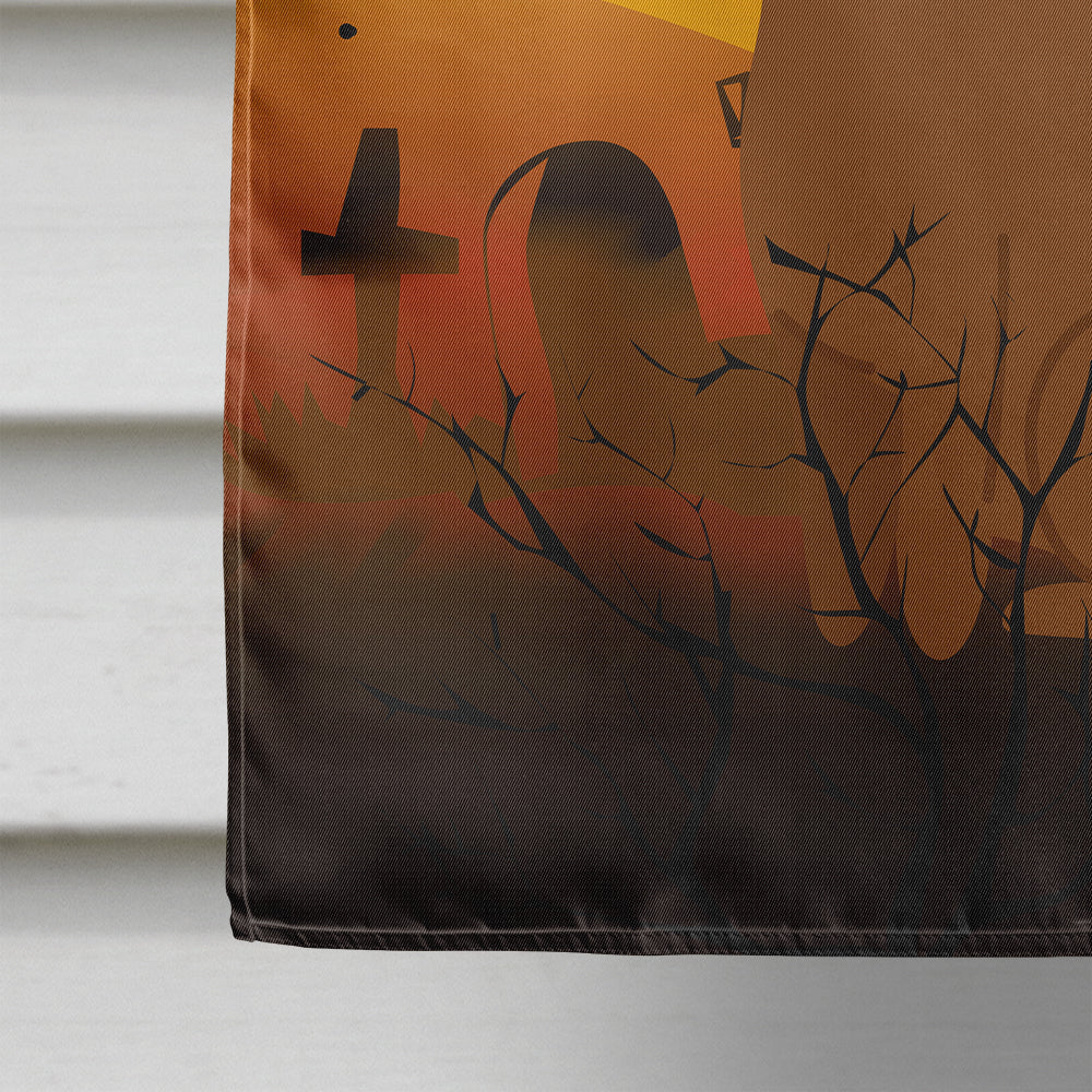 Halloween Abyssinian Cat House Flag 28x40 Porch Sleeve Pole Decorative Outside Yard Banner Artwork Wall Hanging, Polyester