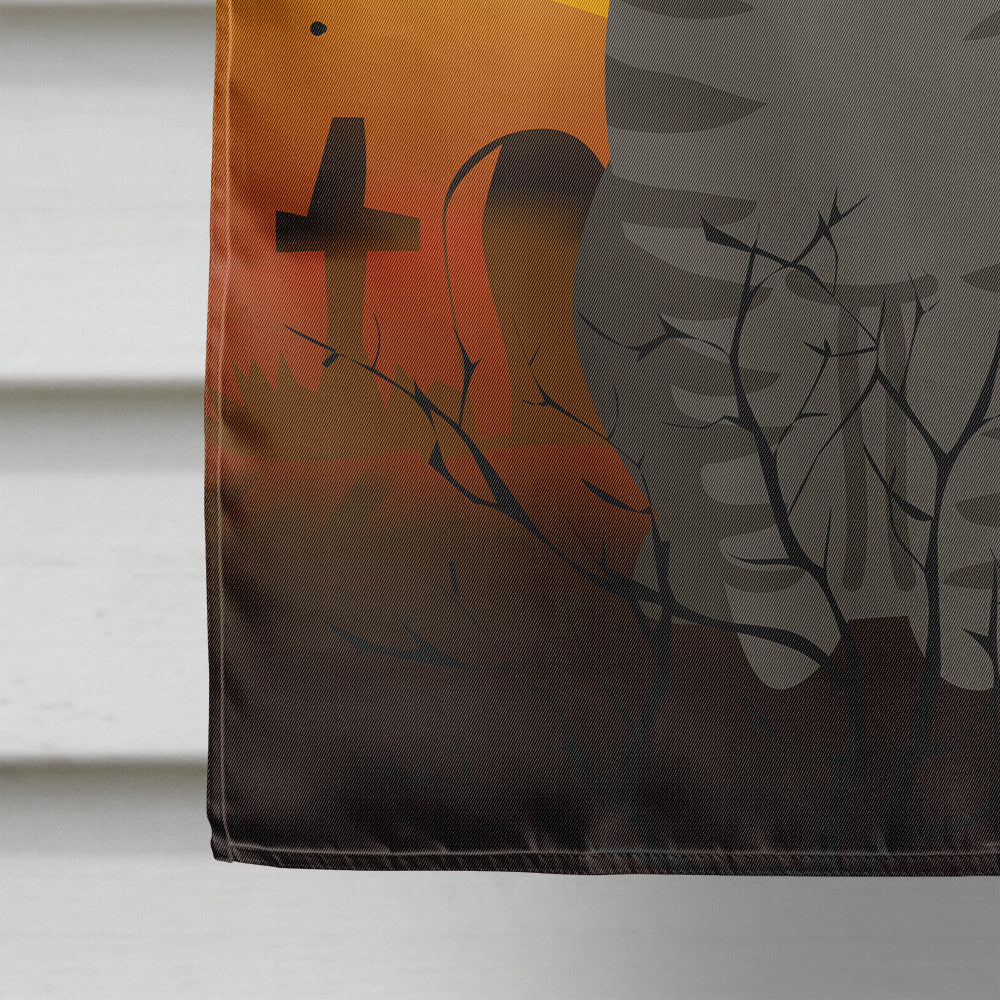 Halloween American Curl Cat House Flag 28x40 Porch Sleeve Pole Decorative Outside Yard Banner Artwork Wall Hanging, Polyester