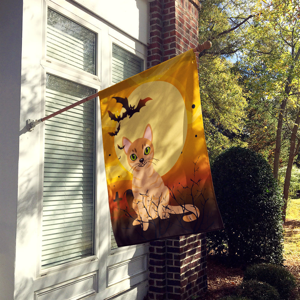 Halloween Australian Mist Cat House Flag 28x40 Porch Sleeve Pole Decorative Outside Yard Banner Artwork Wall Hanging, Polyester