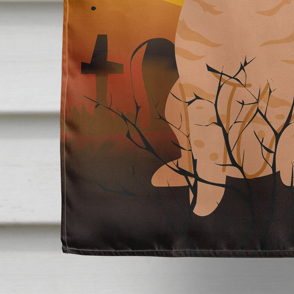 Halloween Australian Mist Cat House Flag 28x40 Porch Sleeve Pole Decorative Outside Yard Banner Artwork Wall Hanging, Polyester