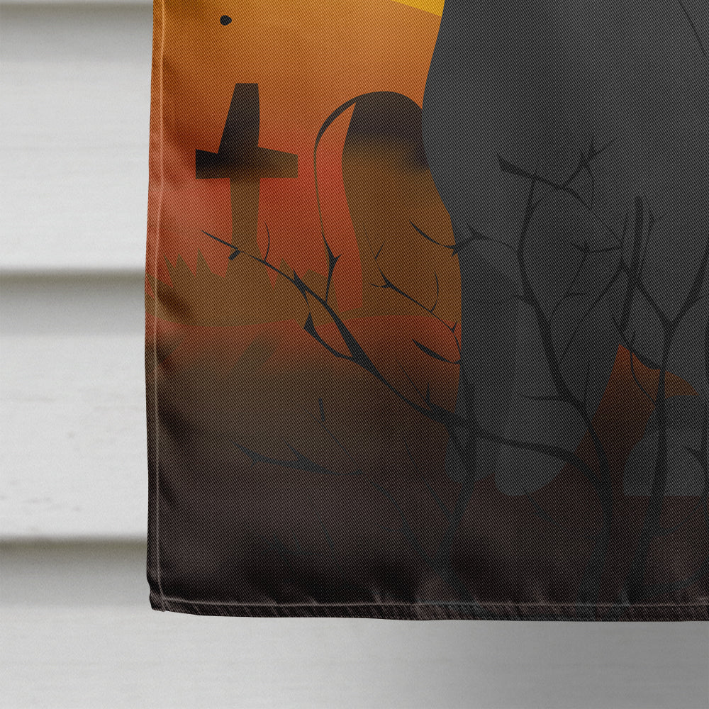Halloween Bombay Cat House Flag 28x40 Porch Sleeve Pole Decorative Outside Yard Banner Artwork Wall Hanging, Polyester